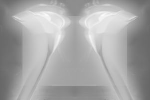 wkl 11 Wilhelm Kleinoder   Calla Diptych ICM